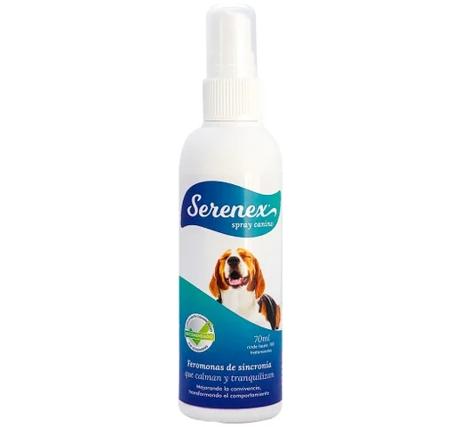 animalsapiens-452076