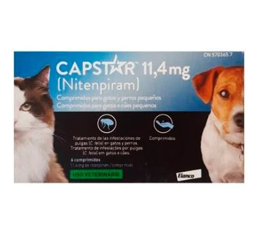 animalsapiens-453066