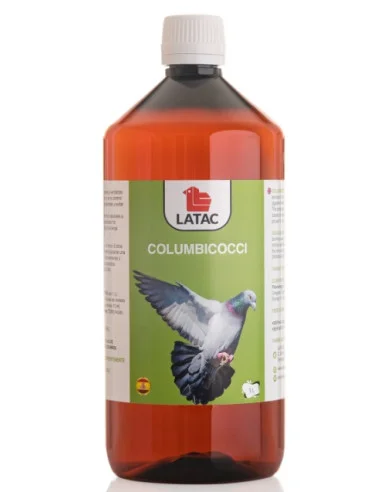 comercialbuendia-437946