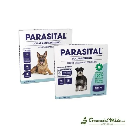 comercialmida433332