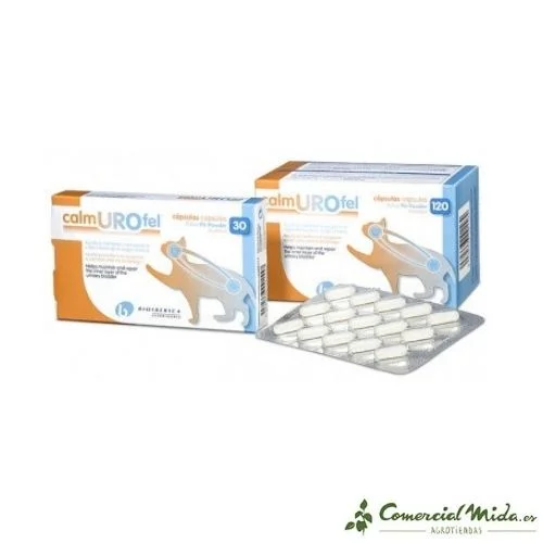 comercialmida434406