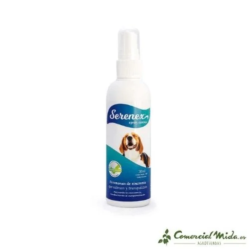 comercialmida436682