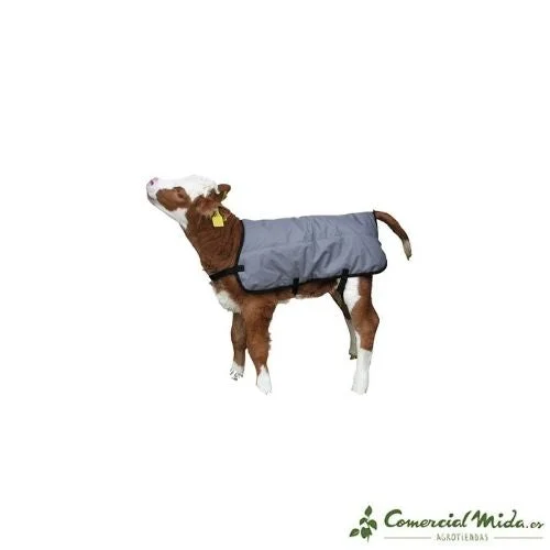 comercialmida436710