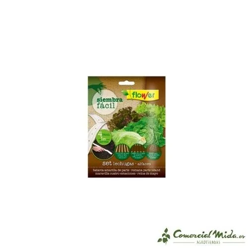 comercialmida437164