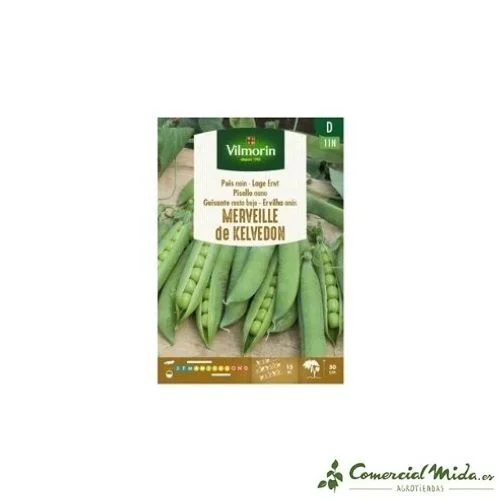 comercialmida438080