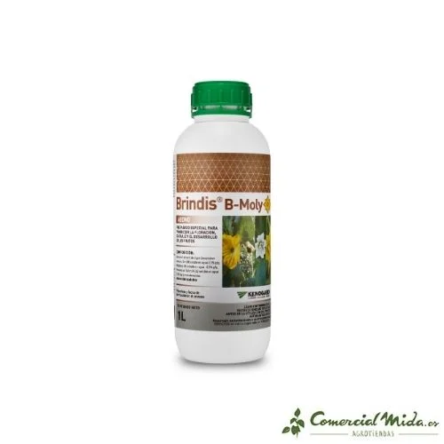 comercialmida439396