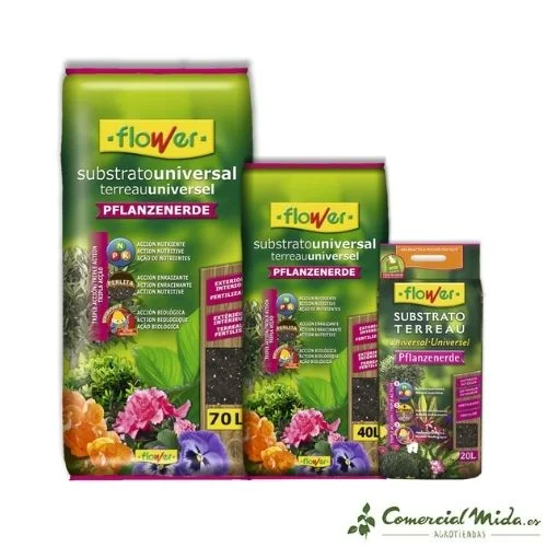 comercialmida439476
