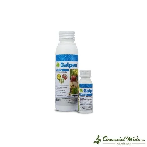 comercialmida439508
