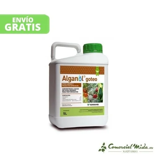 comercialmida439558