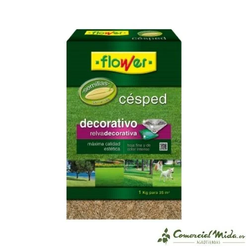 comercialmida439998