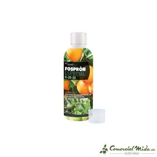 comercialmida441595