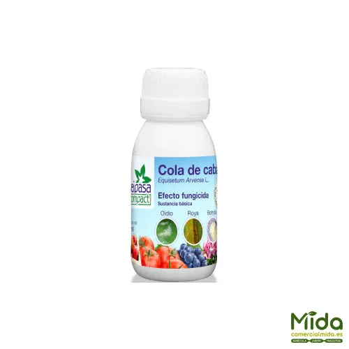 comercialmida442796