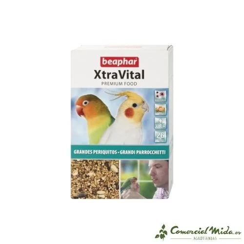 comercialmida443445
