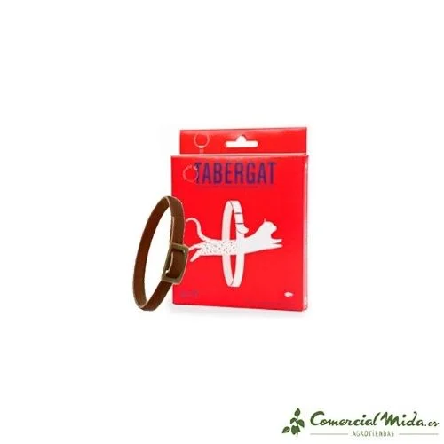 comercialmida443743