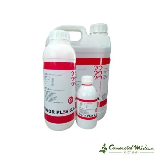 comercialmida443911