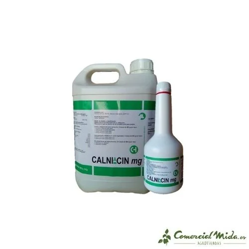 comercialmida444218