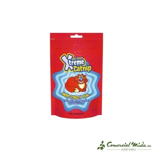 comercialmida444745