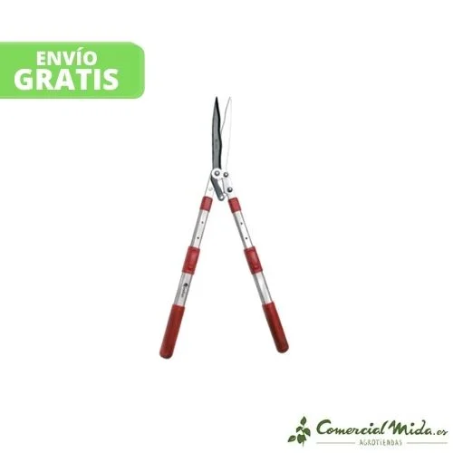 comercialmida444901