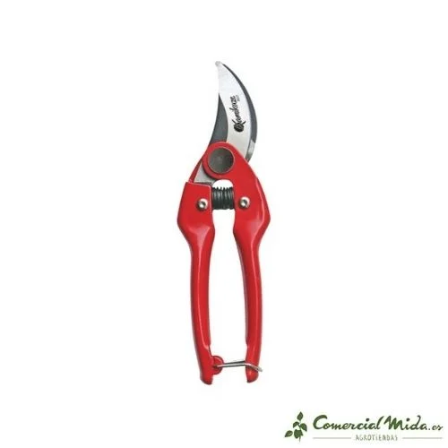 comercialmida444967