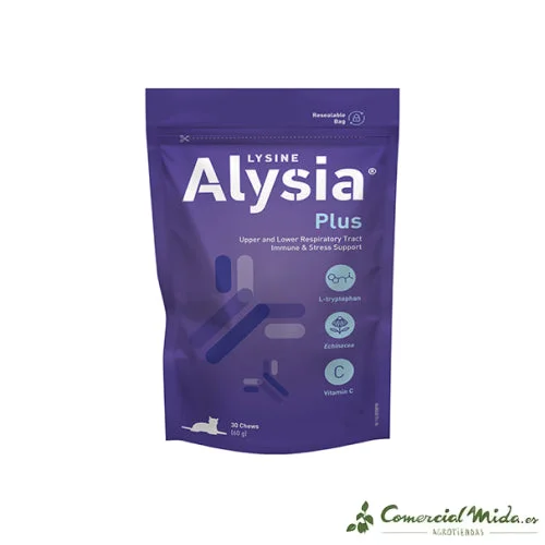 comercialmida445613
