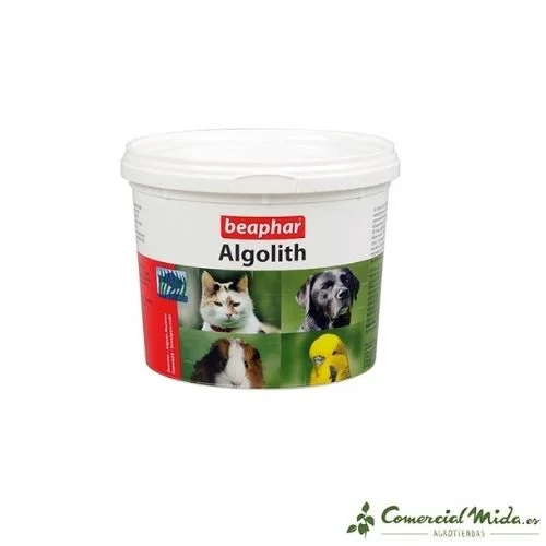 comercialmida445888
