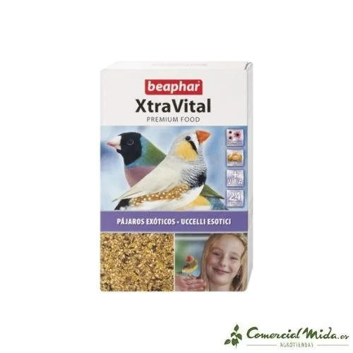 comercialmida446521