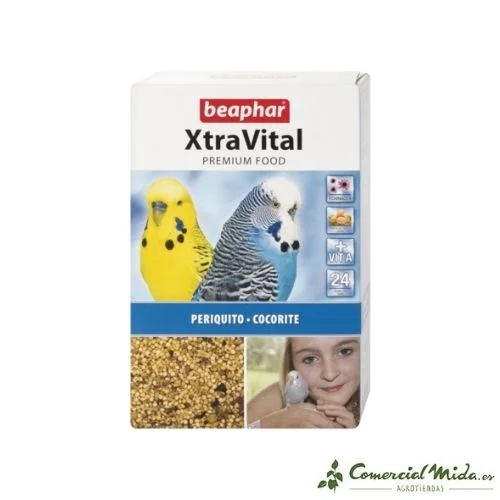 comercialmida446534