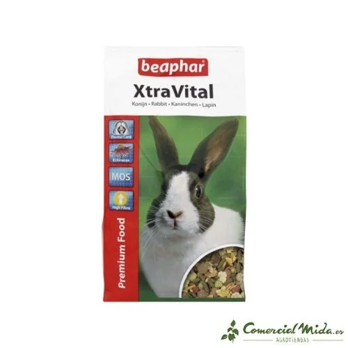 comercialmida446569