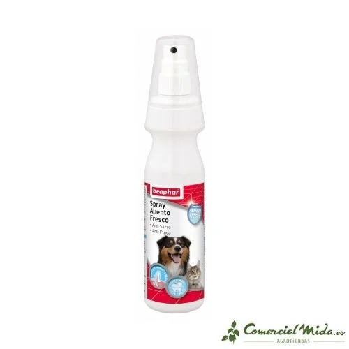 comercialmida446997