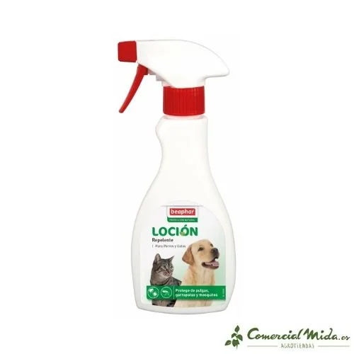 comercialmida447039