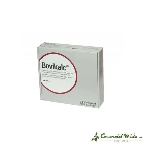 comercialmida449538