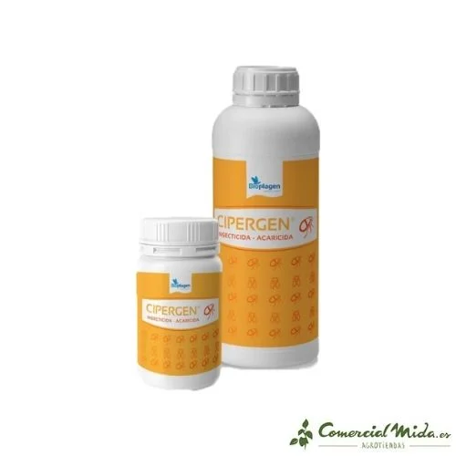 comercialmida449721