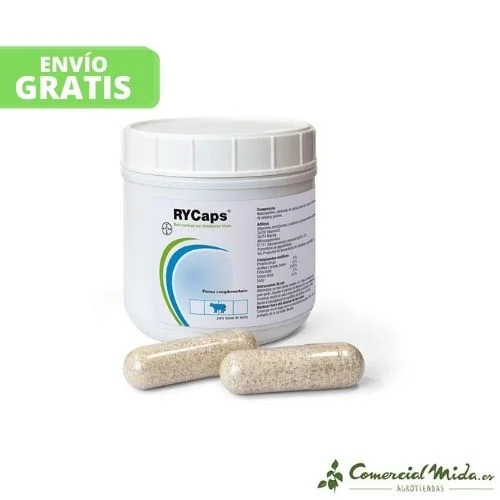 comercialmida451584