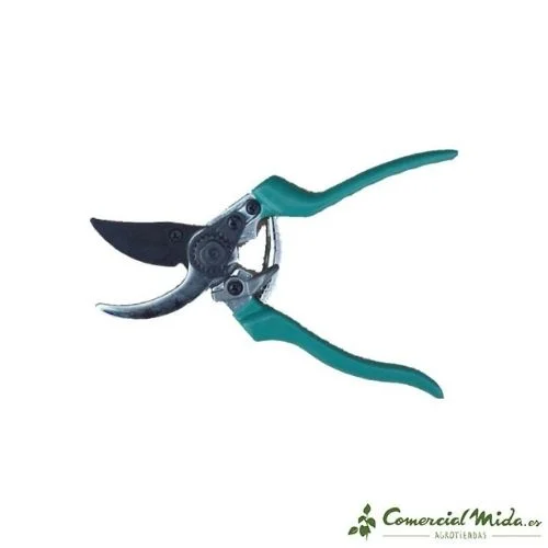 comercialmida453413