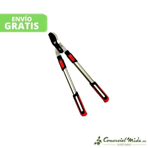 comercialmida453619
