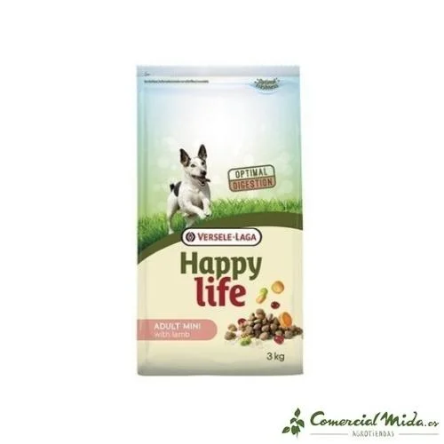 comercialmida455991