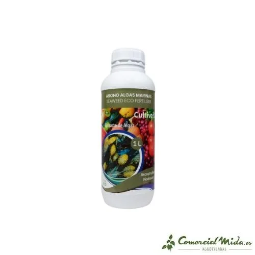comercialmida456700