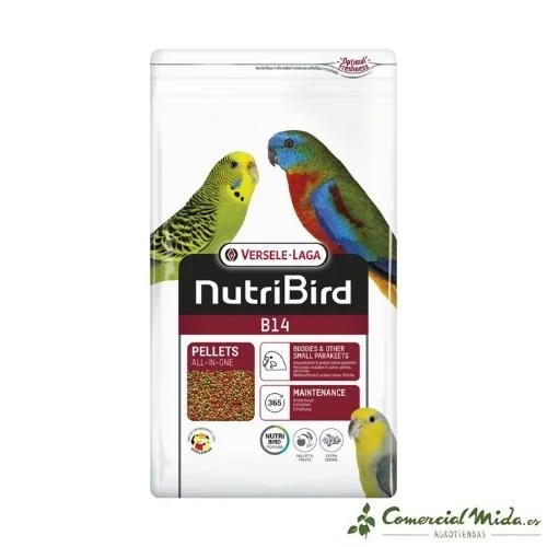 comercialmida456908