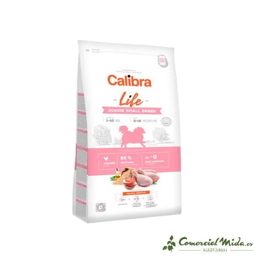 comercialmida462902