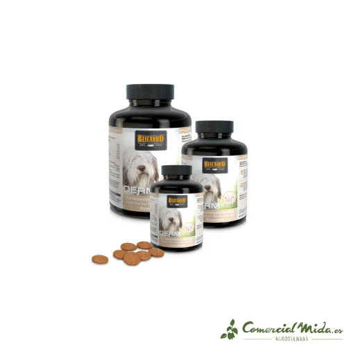 comercialmida480587