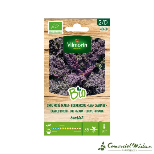 comercialmida486692