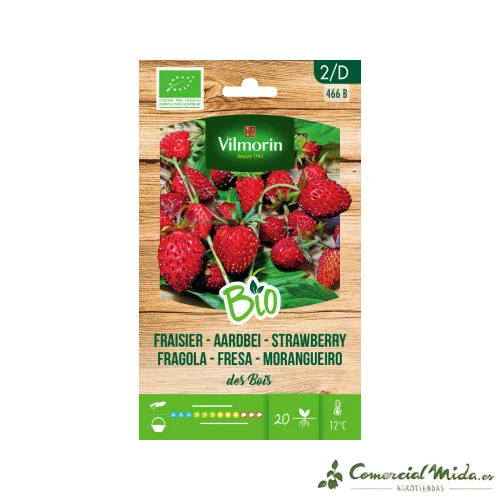 comercialmida487033