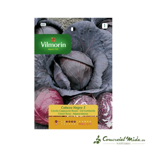comercialmida490136