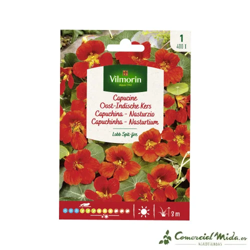 comercialmida490821