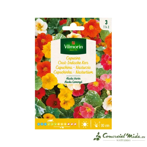 comercialmida491828