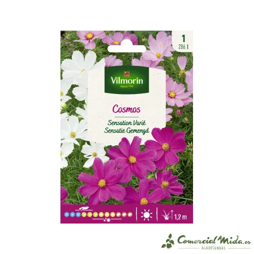 comercialmida493376