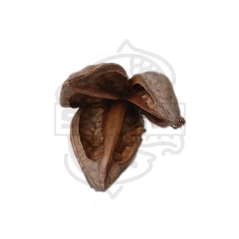 cosmeticosveganosmascotas-447913