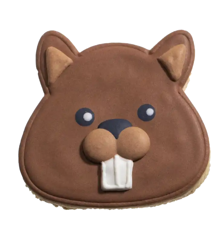 cosmeticosveganosmascotas-449315