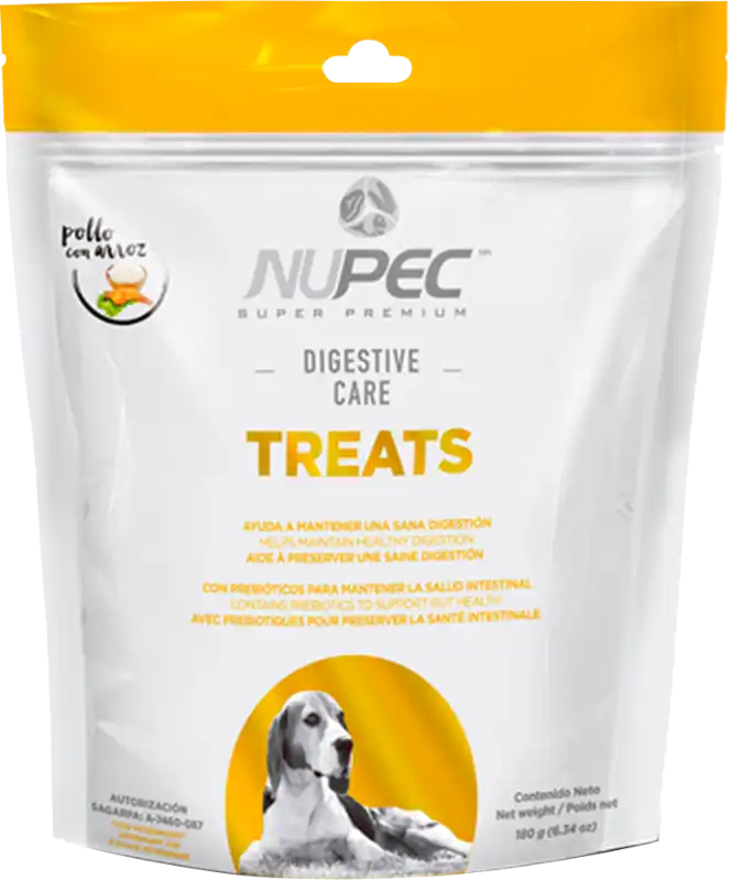cosmeticosveganosmascotas-449655