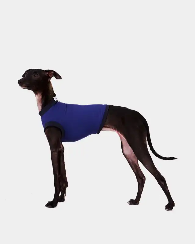 cosmeticosveganosmascotas-449795